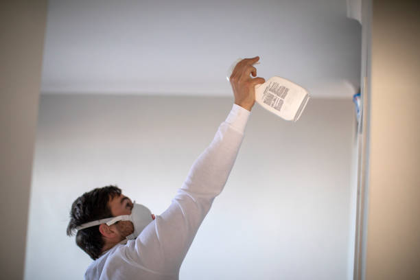 Best Attic Mold Removal  in Whitg, IN