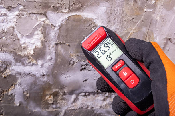 Best Emergency Mold Removal  in Whitg, IN